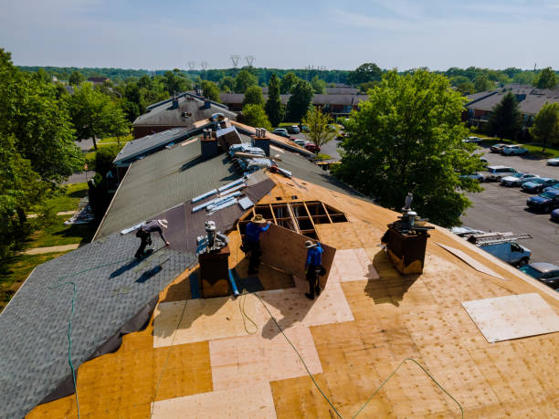 Trusted Roof Replacement service in Gardiner, OR - Brentwood Metal Roofing